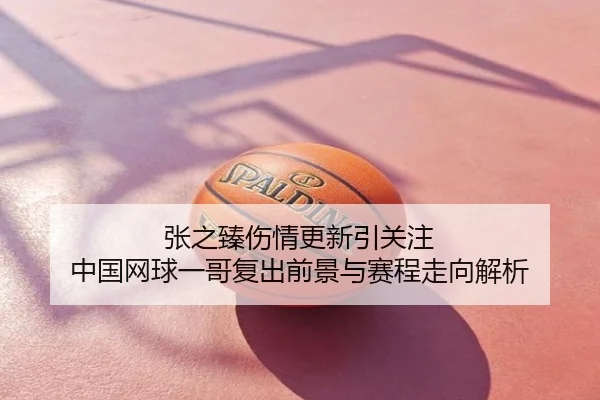 张之臻伤情更新引关注 中国网球一哥复出前景与赛程走向解析